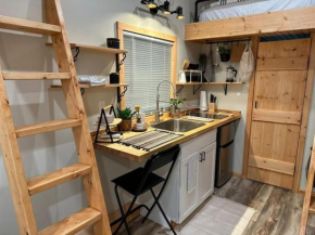 Tiny Home in Downtown St Pete